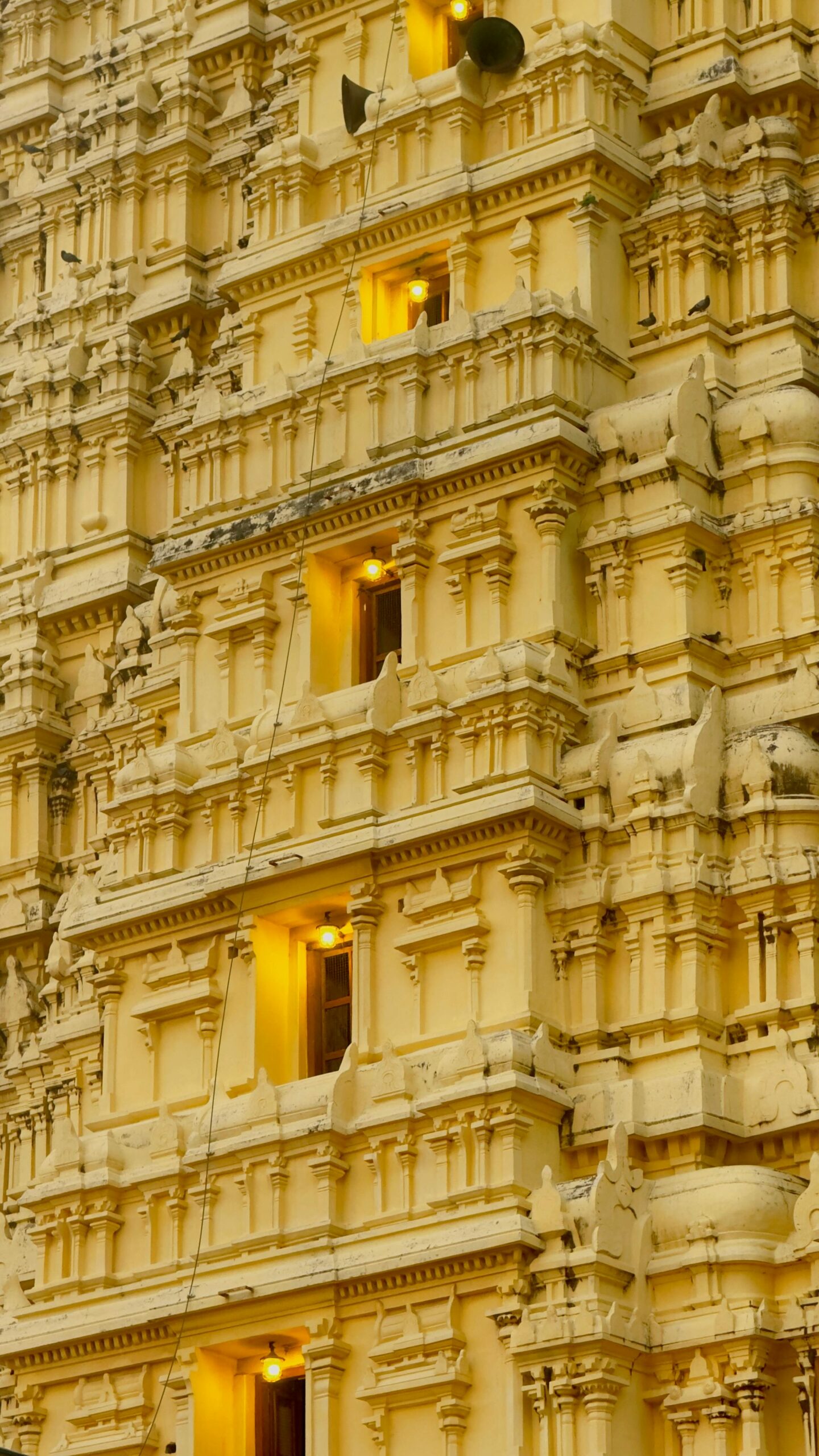 pexels amresh444 30488025 scaled