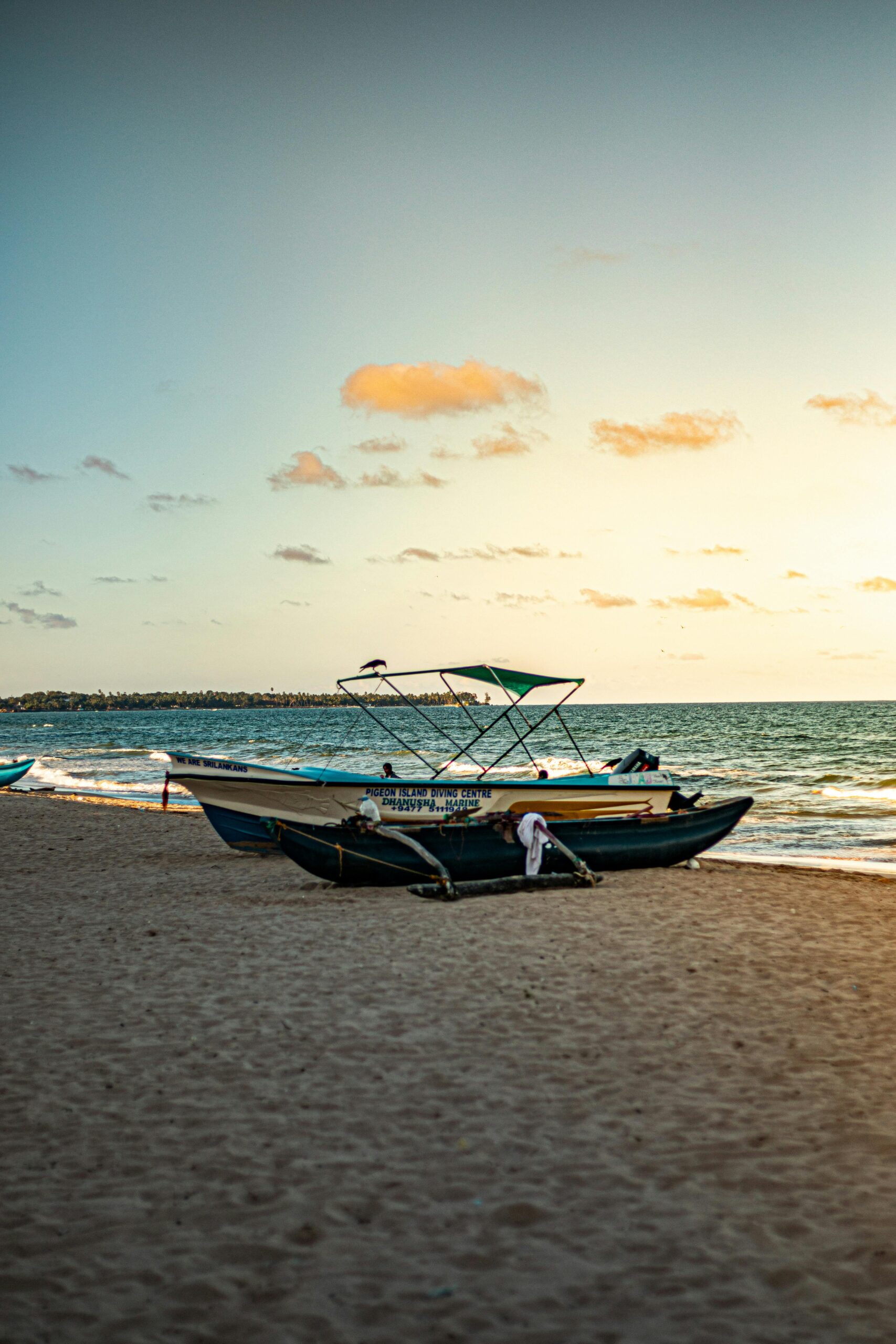 pexels srkportraits 10850853 scaled